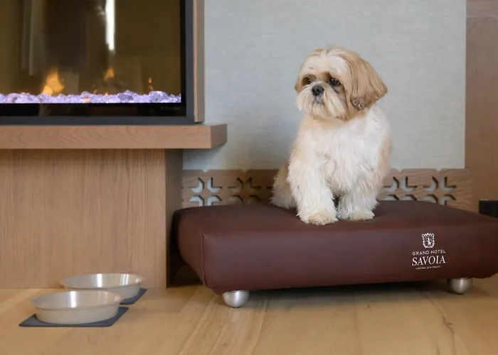 Grand Savoia Cortina D'ampezzo, A Radisson Collection Hotel 5*